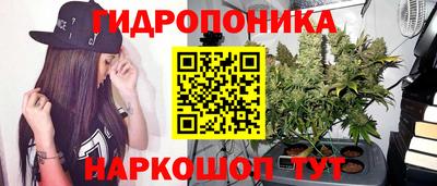 бошки Новозыбков