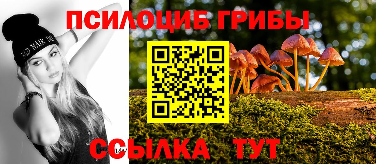 Псилоцибиновые грибы GOLDEN TEACHER  Вход с VPN  Реутов 
